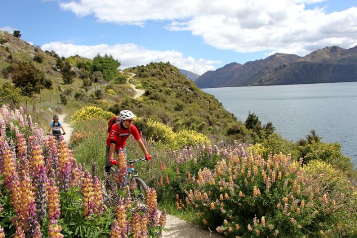 Things to do in Wanaka