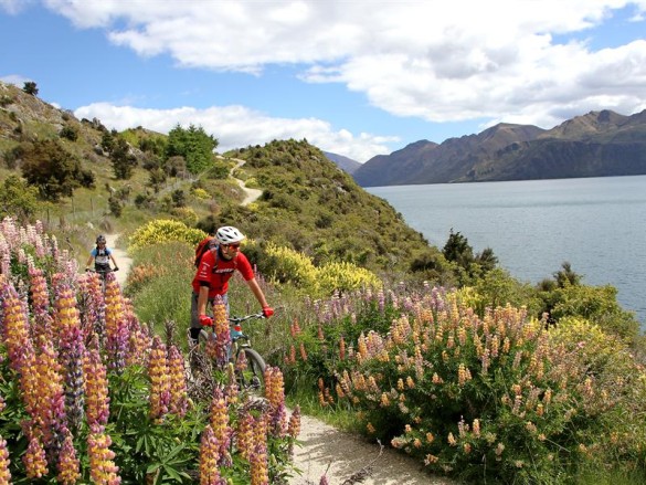 Mountain Biking in Wanaka & Central Otago